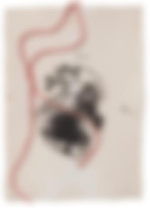 "Scapula" (preview)
