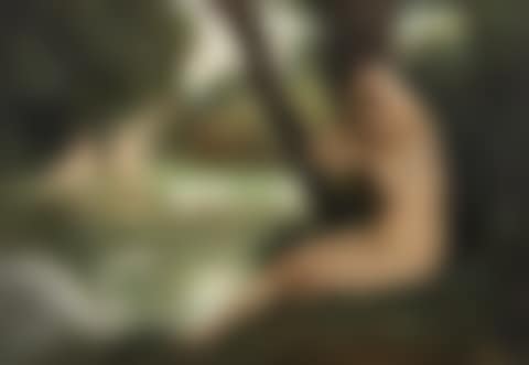 Leda and the Swan (preview)