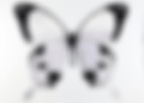 Butterfly (I Miss U) (preview)