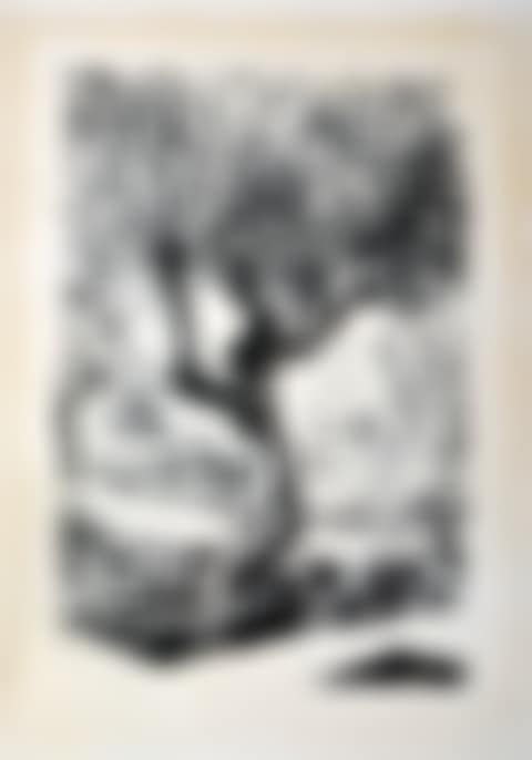 Trees (preview)