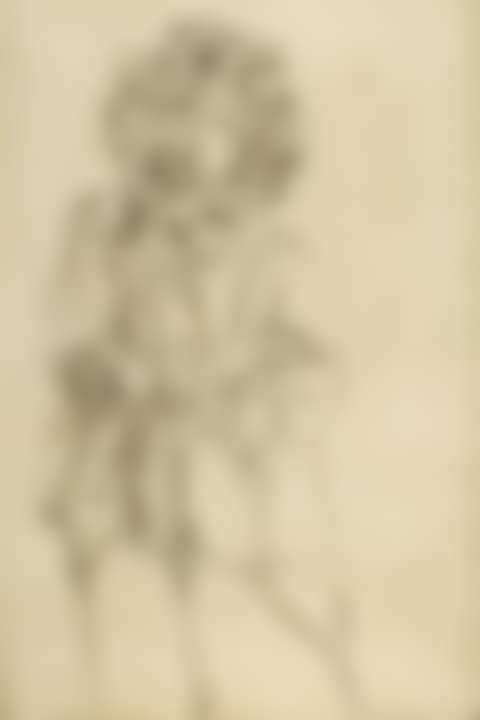 Anne (preview)