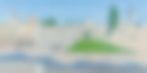 The Western Wall (preview)