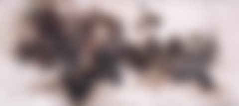 Untitled (preview)