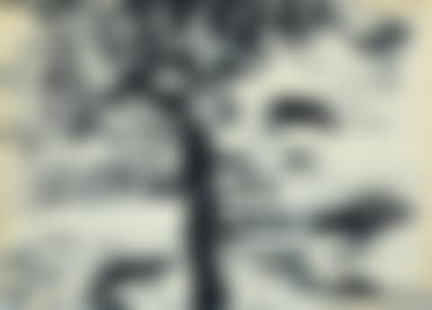 Landscape (preview)