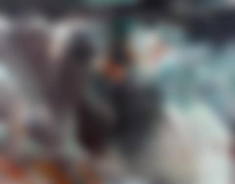 Untitled (preview)