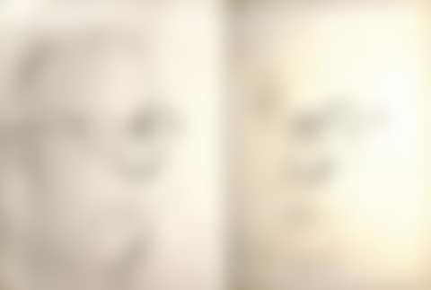 A Lot of Two Paintings: Male Portrait (preview)