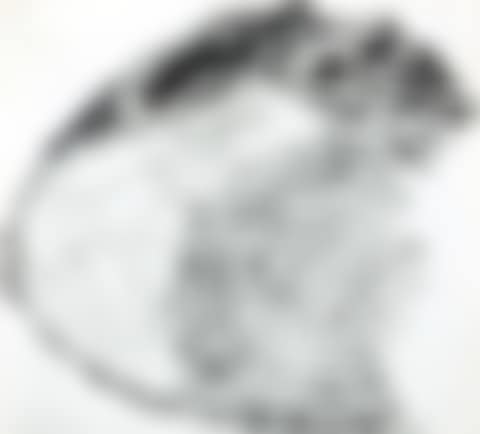 Landscape (preview)
