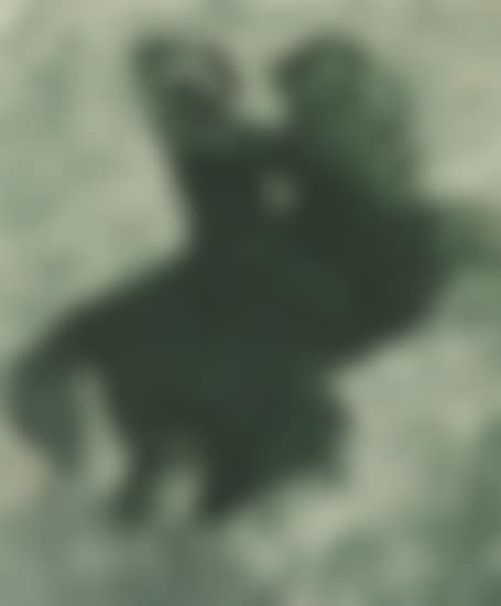 Horse anxd Rider (preview)
