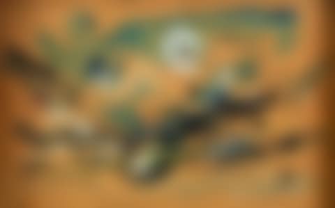 Untitled (preview)