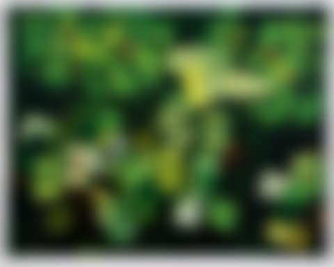 Cards (preview)