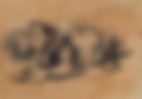 Lion (preview)