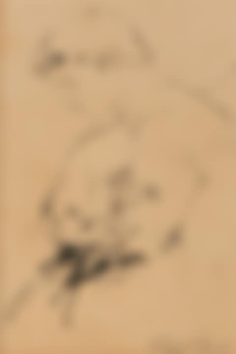 Portrait (preview)