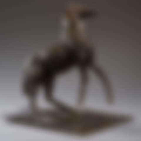 Rearing horse (preview)