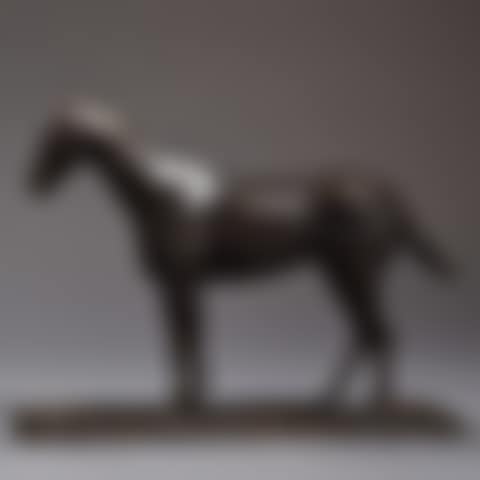 Horse study (preview)