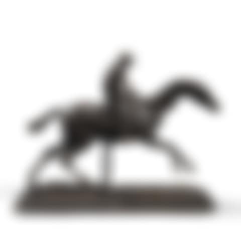 Horse galloping on the right foot with its jockey (preview)