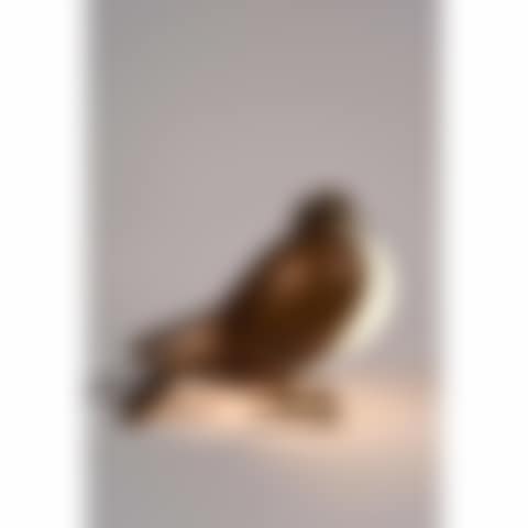 “Pigeon” table lamp (preview)