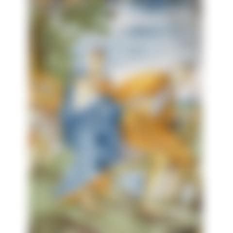 TWO PLATES (preview)
