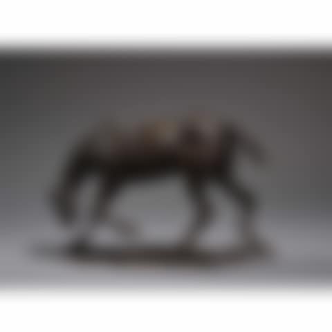 Horse doing a handstand (preview)