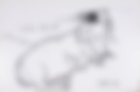 Little Boodge (preview)