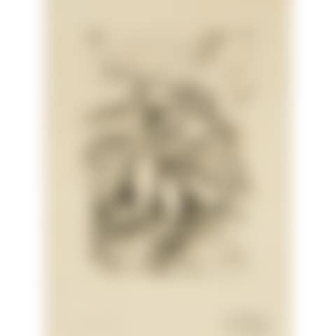 UNTITLED (preview)
