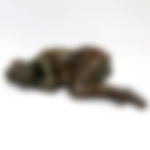 SLEEPING NUDE (preview)