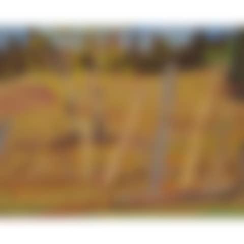 INDIAN FENCE (preview)