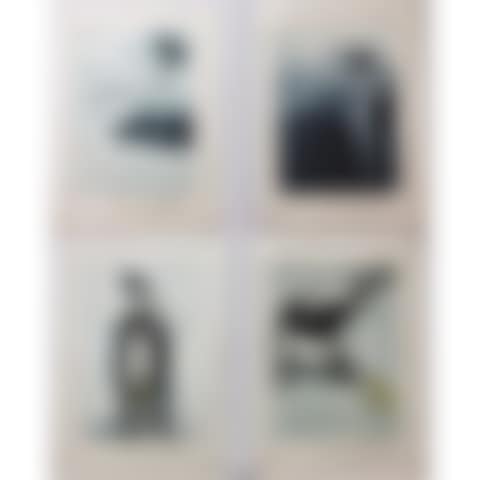 UNTITLED (SEALS & PUPS) (preview)