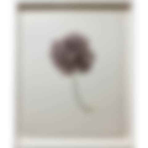 SANS TITRE (HORTENSIA) (preview)