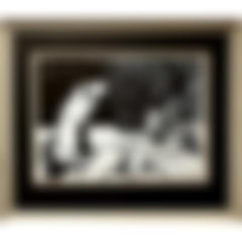 WOMAN HOLDING BIRD (preview)
