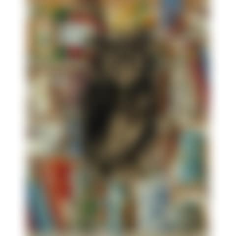 OWL IN THE KITCHEN (preview)