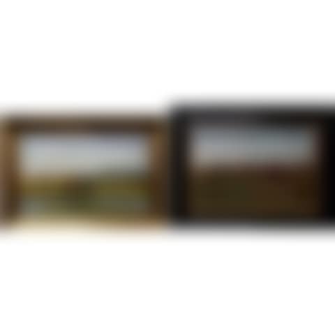 GRAZING CATTLE (preview)