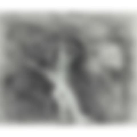 PEINTRE PEIGNANT SUR SON MODÈLE (PL. 204 FROM SERIES 347) (preview)