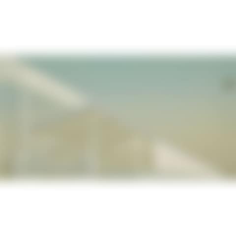 CHEESE MOLD STANDARD WITH OLIVE (preview)