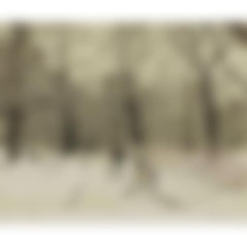 SNOW, CENTRAL PARK (preview)