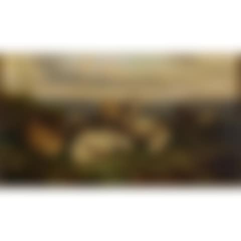 SHEEP RESTING ON A HILL (preview)