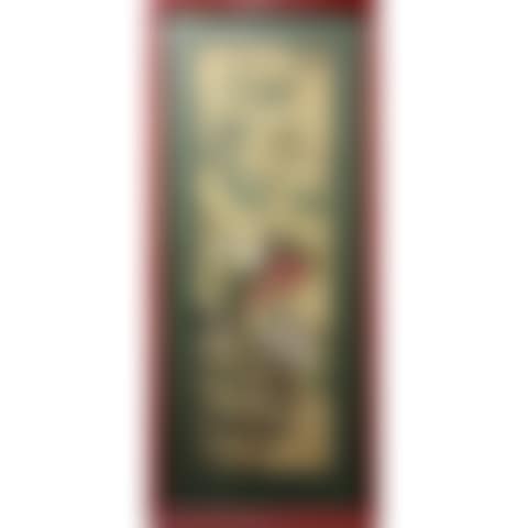 EXOTIC BIRDS (preview)