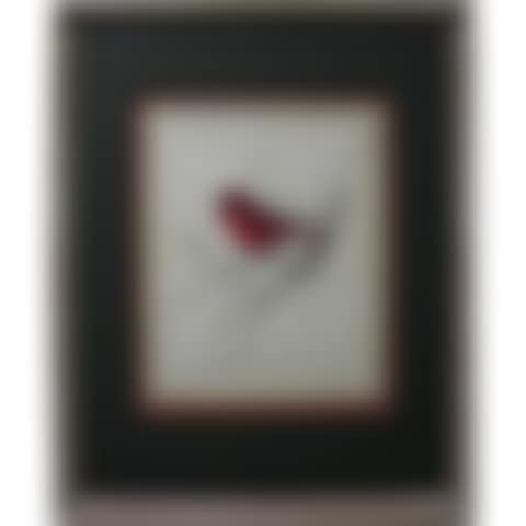 CARDINEL; YELLOW FINCH; SKUNK (preview)