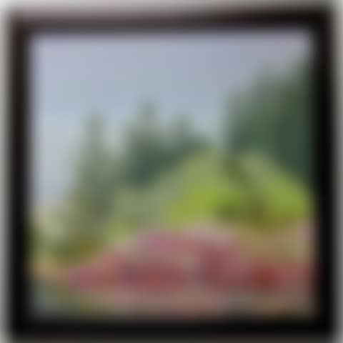 UNTITLED (ROCKY SHORELINE - GEORGIAN BAY) (preview)