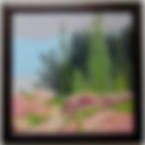 UNTITLED (ROCKY SHORELINE - GEORGIAN BAY) (preview)