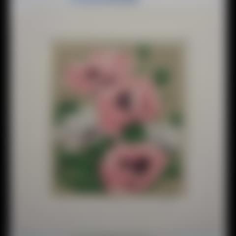PINK POPPIES (preview)