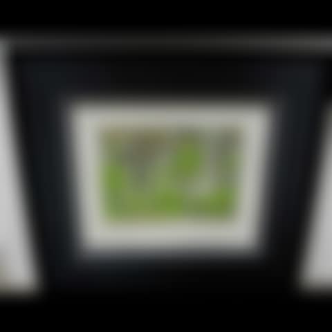 FOREST EDGE (preview)