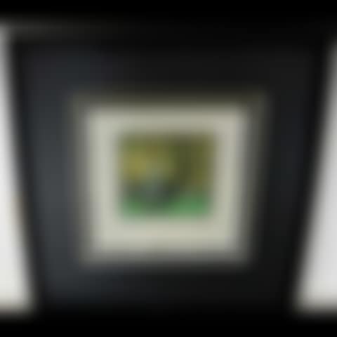 GRENADIER POND (preview)