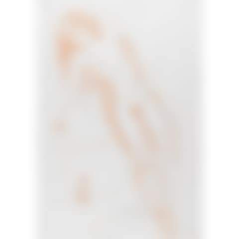 NU DU BRAS LEVE (FROM NUDES) [FIELD 70-8] (preview)