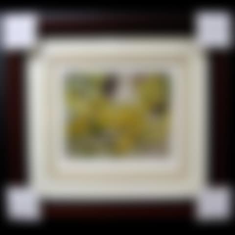 BLACK EYED SUSANS; HALFWAY LAKE (preview)