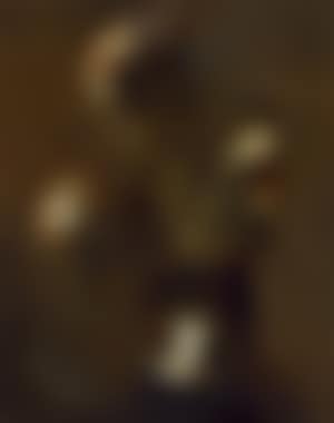 Physiognomic studies of a cat (preview)