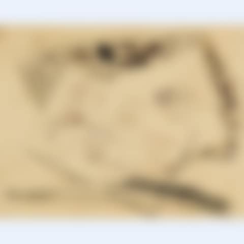 TROMPE L"OEIL LETTER TO MRS. ROBINSON, YORK, UPPER CANADA (preview)
