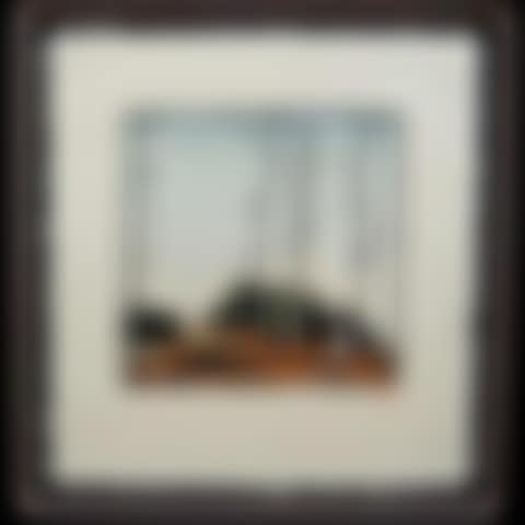 SPARROW LAKE (preview)