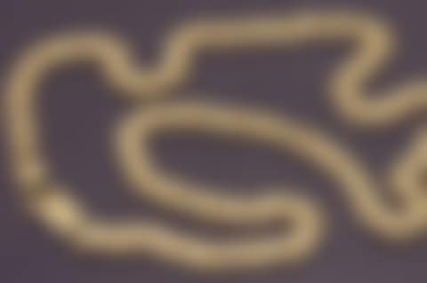 Yellow gold chain (preview)