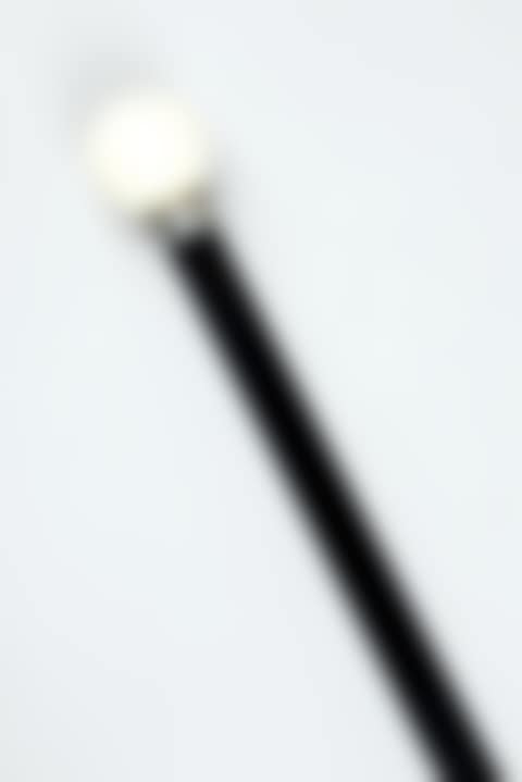 A wooden walking stick (preview)