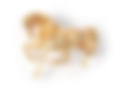 Brosche (preview)